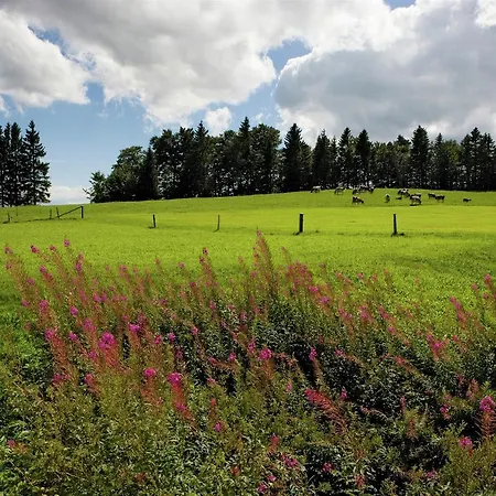 Lejlighed Silberdistel